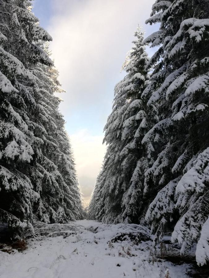 Chalet Du Praillage سبا المظهر الخارجي الصورة